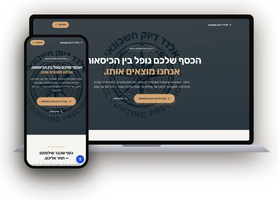אלדד דיוק חשבונאי — תמונת דף הנחיתה